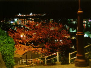 紅葉と港町の夜景の競演