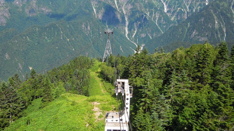 宝登山ロープウェイを家族で満喫｜見どころ・アクセス・料金をやさしく紹介